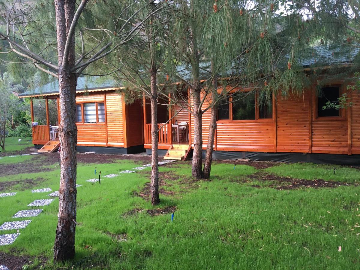 Ferienwohnung Seker Bungalov Çıralı Exterior foto