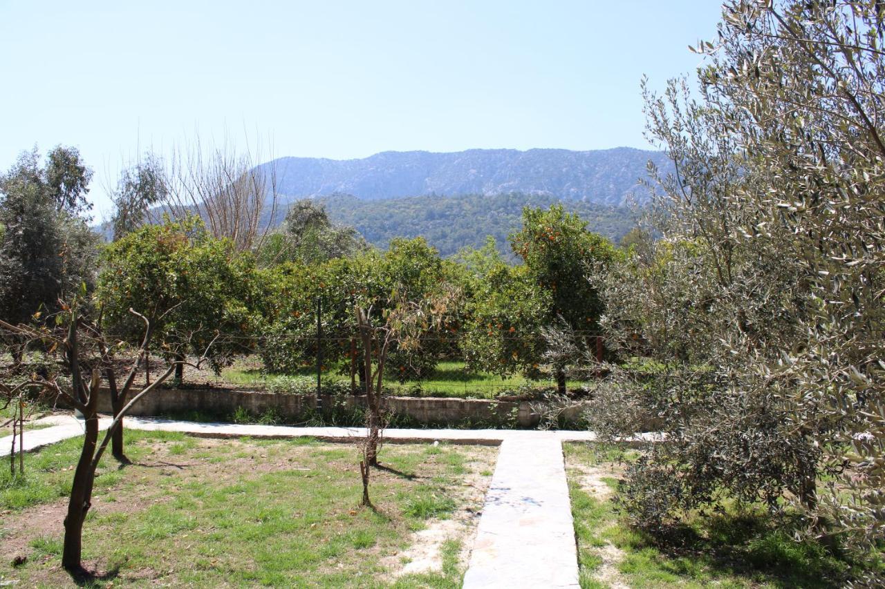 Ferienwohnung Seker Bungalov Çıralı Exterior foto