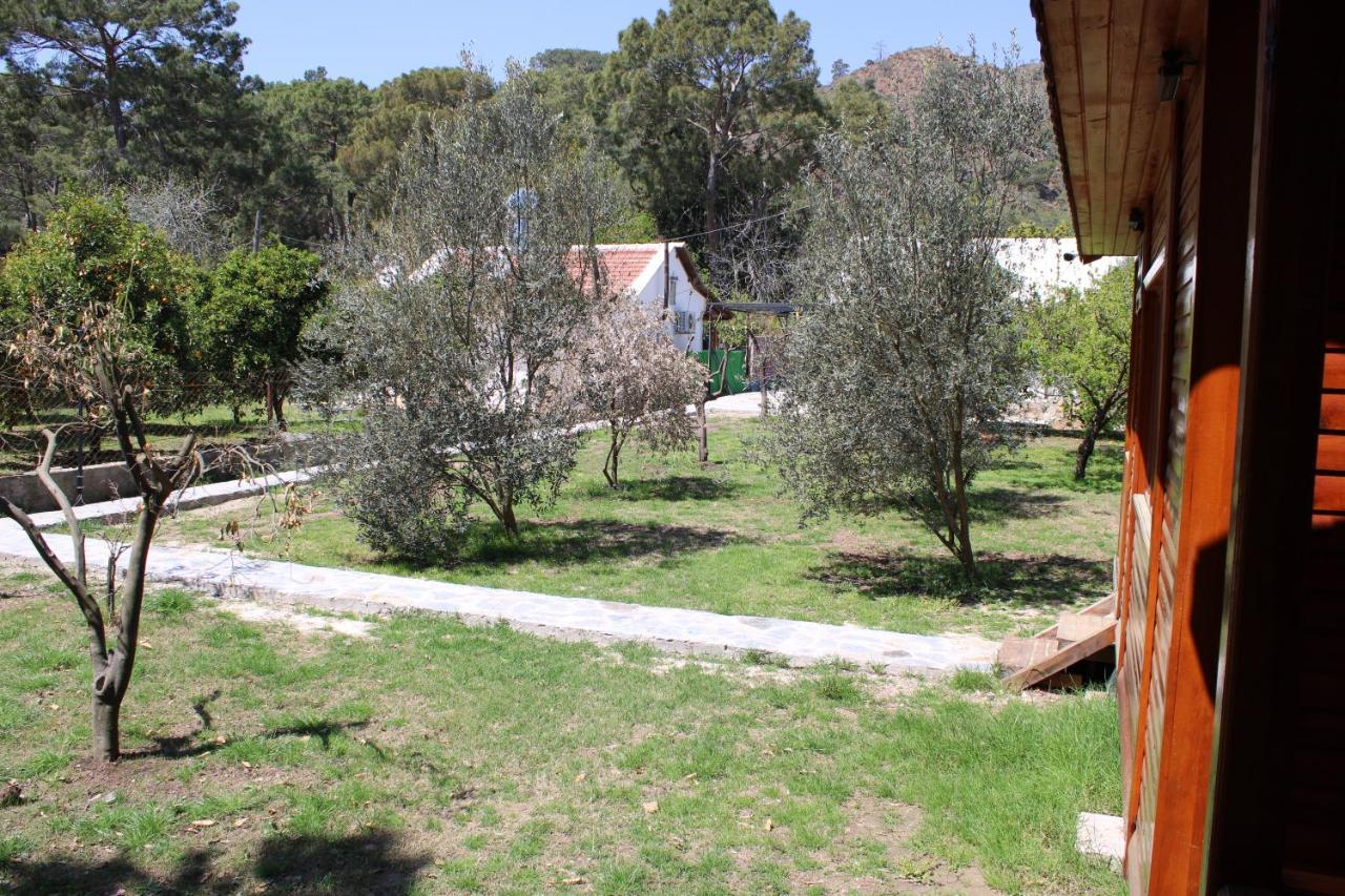Ferienwohnung Seker Bungalov Çıralı Exterior foto