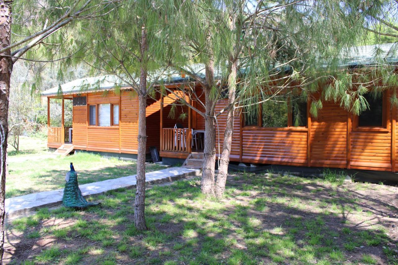 Ferienwohnung Seker Bungalov Çıralı Exterior foto