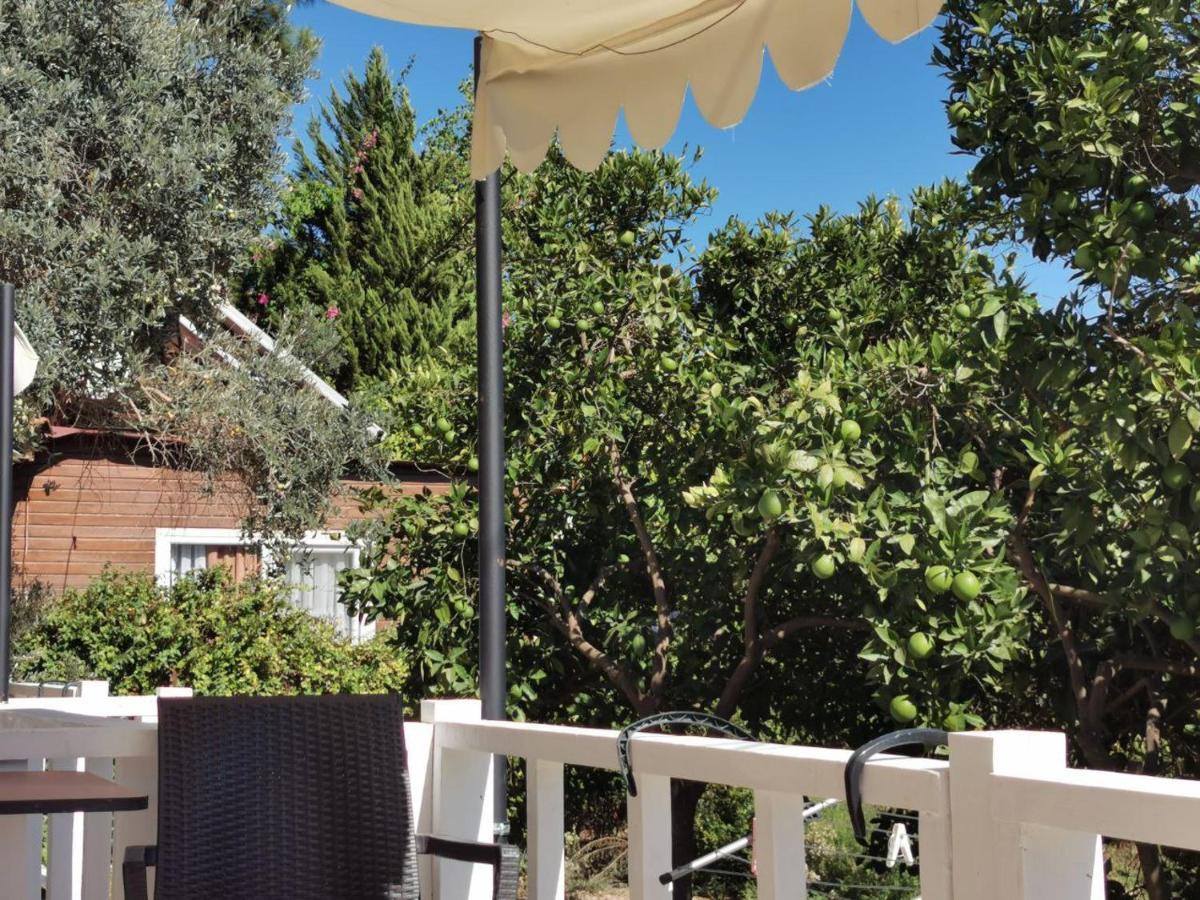 Ferienwohnung Seker Bungalov Çıralı Exterior foto