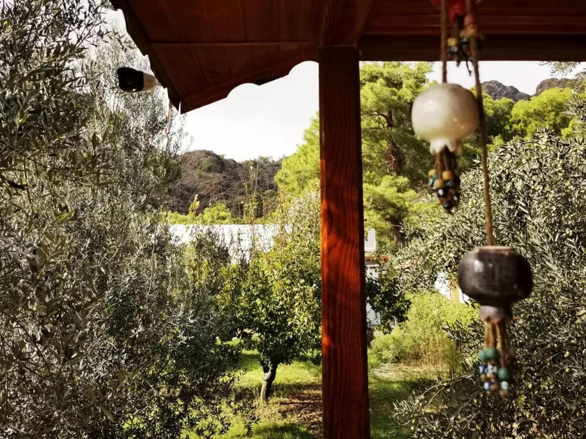 Ferienwohnung Seker Bungalov Çıralı Exterior foto